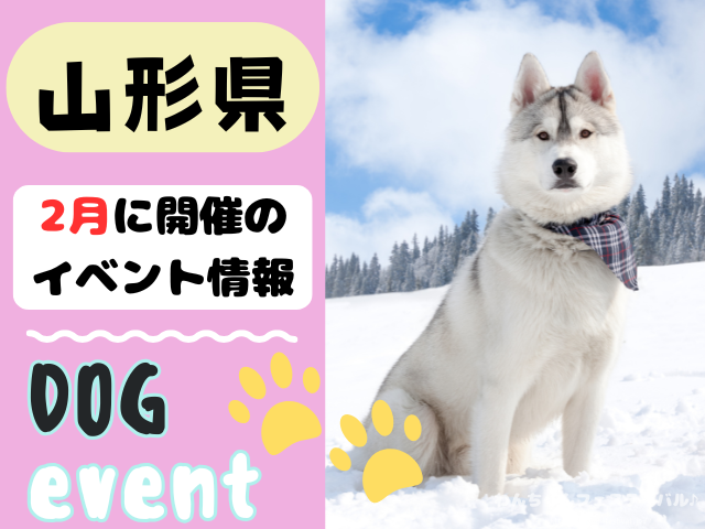 犬イベント　東北地方　青森県　岩手県　秋田県　宮城県　山形県　福島県　2026年　2月