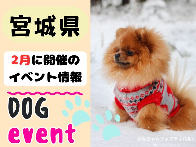 犬イベント　東北地方　青森県　岩手県　秋田県　宮城県　山形県　福島県　2026年　2月