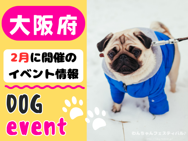 関西　犬イベント　一覧　開催場所　日程　2026　2月　大阪府　京都府　兵庫県　奈良県　滋賀県　和歌山県