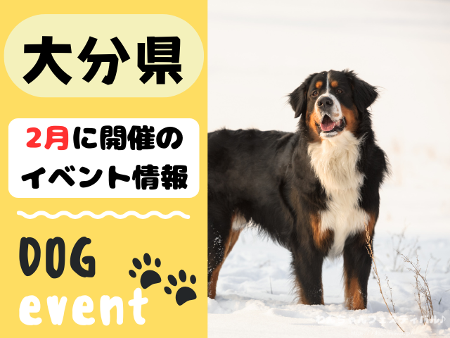 犬イベント　九州　福岡県　佐賀県　長崎県　熊本県　大分県　宮崎県　鹿児島県　2026年　2月