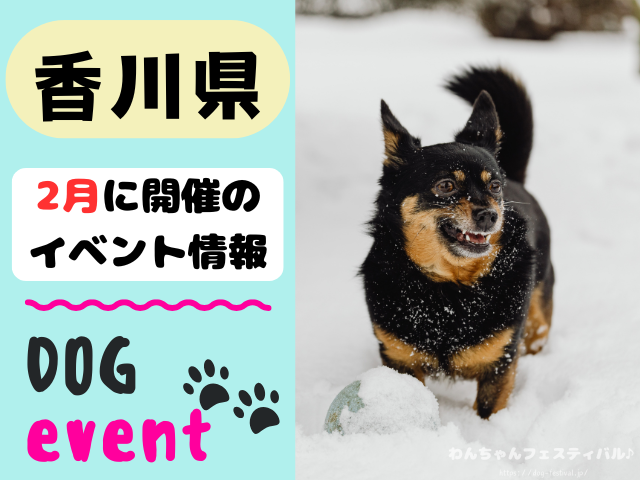 香川　犬イベント　2月