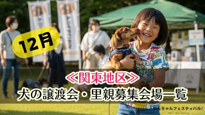 【関東地方12月】犬の譲渡会＆里親募集情報まとめ！