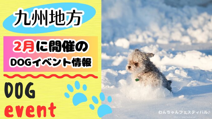 九州　犬イベント　一覧　開催場所　日程　2026　2月