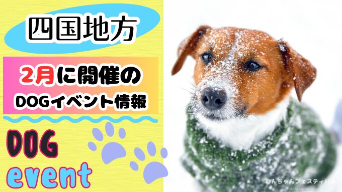 四国　犬イベント　2月　徳島　香川　愛媛　高知