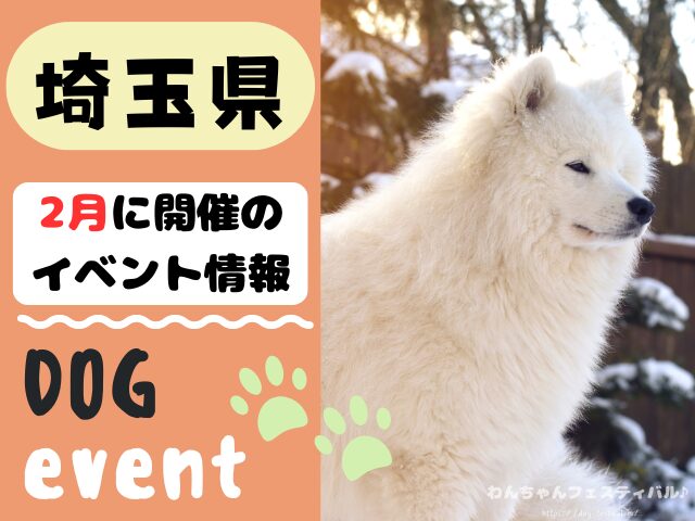 犬イベント　関東地区　東京都　千葉県　神奈川県　埼玉県　群馬県　栃木県　茨城県　2025年　2月