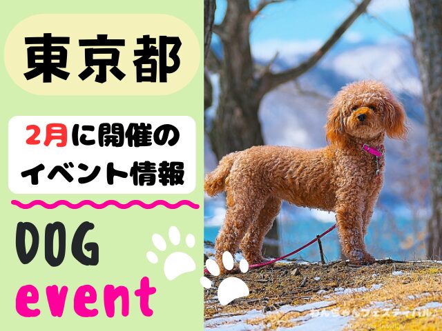 犬イベント　関東地区　東京都　千葉県　神奈川県　埼玉県　群馬県　栃木県　茨城県　2025年　2月