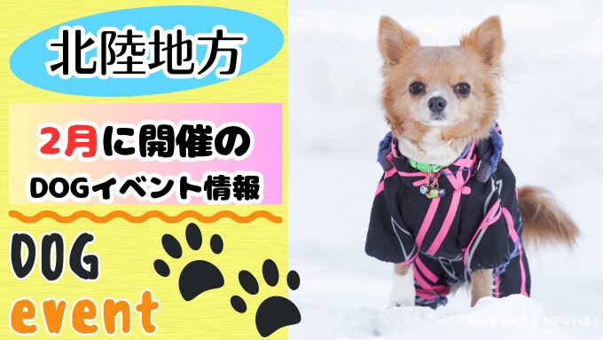 北陸地方　犬イベント　一覧　開催場所　日程　2026　2月