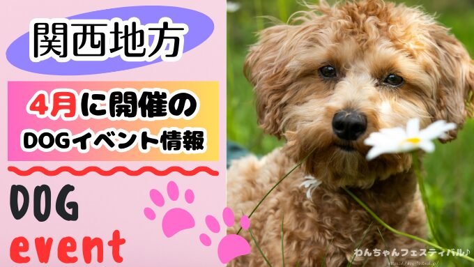 関西　犬イベント　一覧　開催場所　日程　2026　4月　大阪府　京都府　兵庫県　奈良県　滋賀県　和歌山県