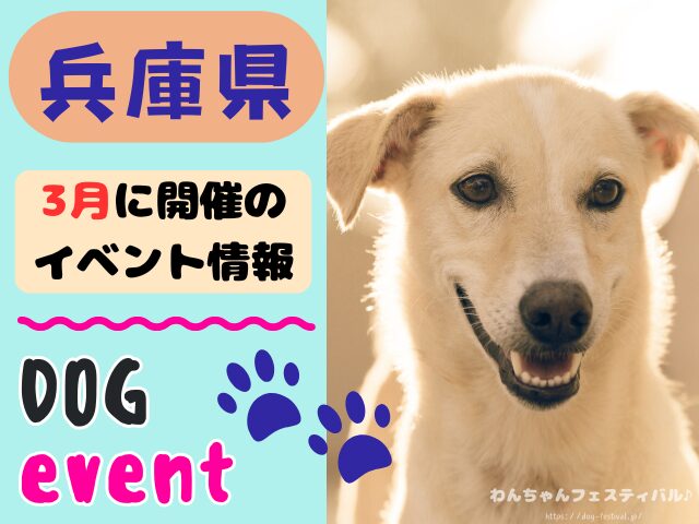 関西　犬イベント　一覧　開催場所　日程　2026　3月　大阪府　京都府　兵庫県　奈良県　滋賀県　和歌山県