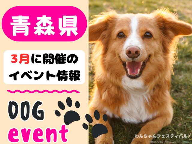 犬イベント　東北地方　青森県　岩手県　秋田県　宮城県　山形県　福島県　2026年　3月