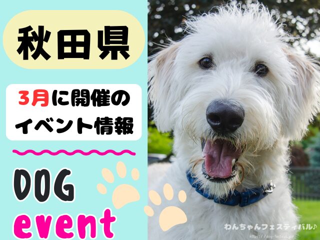 犬イベント　東北地方　青森県　岩手県　秋田県　宮城県　山形県　福島県　2026年　3月