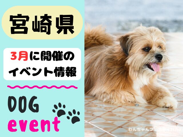 犬イベント　九州　福岡県　佐賀県　長崎県　熊本県　大分県　宮崎県　鹿児島県　2026年　3月
