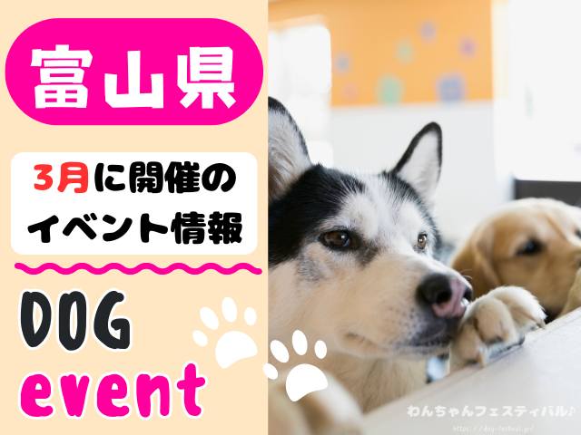 犬イベント　北陸地方　新潟県　富山県　石川県　福井県　2026年　３月