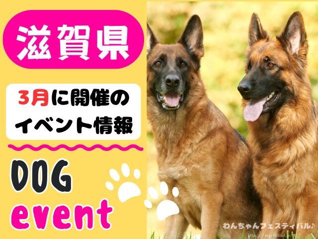 関西　犬イベント　一覧　開催場所　日程　2026　3月　大阪府　京都府　兵庫県　奈良県　滋賀県　和歌山県