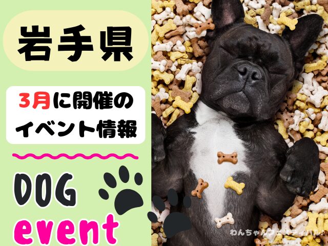 犬イベント　東北地方　青森県　岩手県　秋田県　宮城県　山形県　福島県　2026年　3月