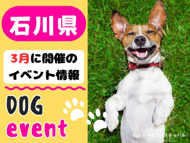 犬イベント　北陸地方　新潟県　富山県　石川県　福井県　2026年　３月