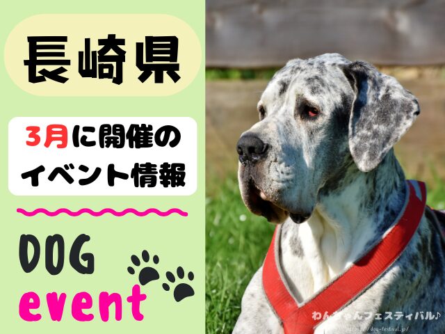 犬イベント　九州　福岡県　佐賀県　長崎県　熊本県　大分県　宮崎県　鹿児島県　2026年　3月