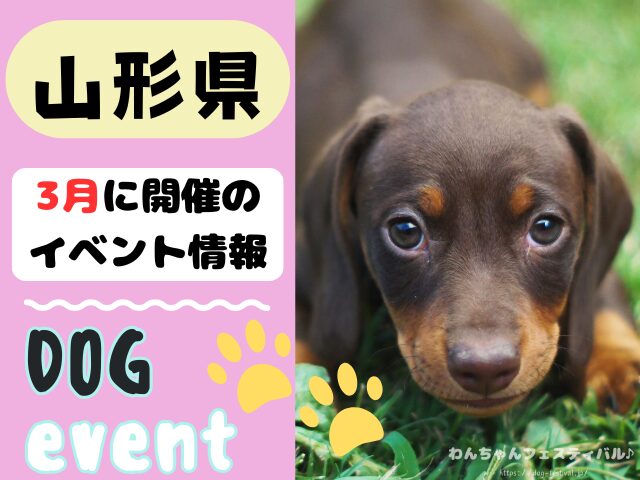 犬イベント　東北地方　青森県　岩手県　秋田県　宮城県　山形県　福島県　2026年　3月
