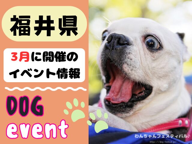 犬イベント　北陸地方　新潟県　富山県　石川県　福井県　2026年　３月