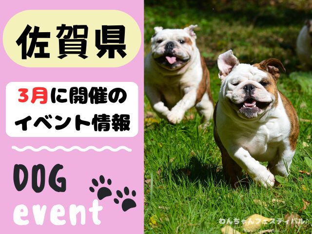 犬イベント　九州　福岡県　佐賀県　長崎県　熊本県　大分県　宮崎県　鹿児島県　2026年　3月