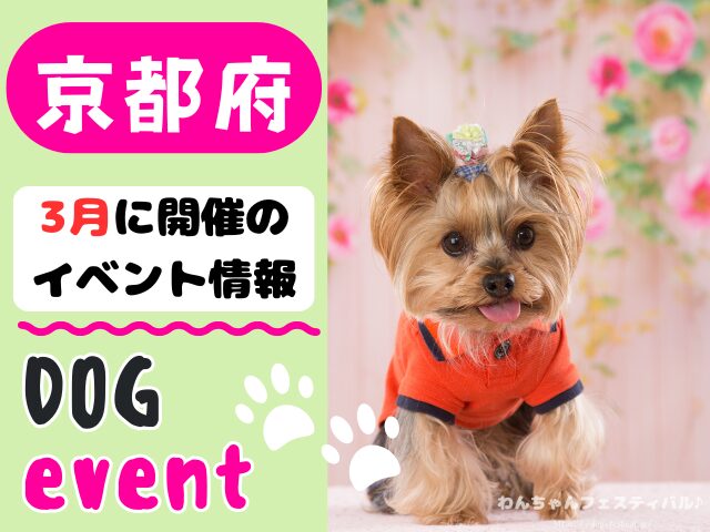 関西　犬イベント　一覧　開催場所　日程　2026　3月　大阪府　京都府　兵庫県　奈良県　滋賀県　和歌山県