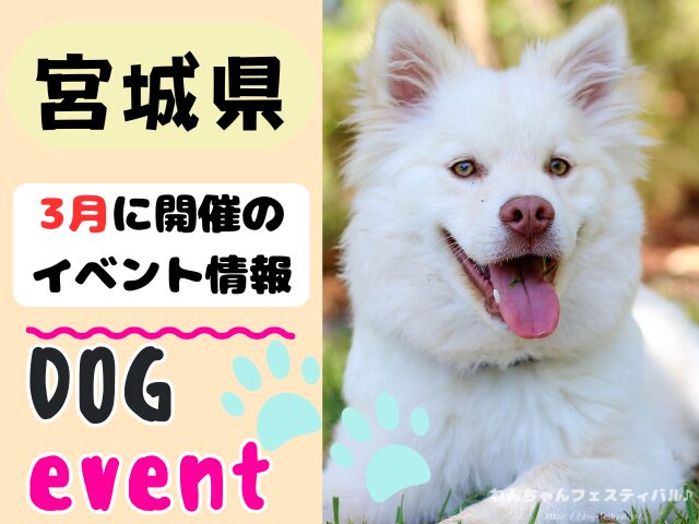犬イベント　東北地方　青森県　岩手県　秋田県　宮城県　山形県　福島県　2026年　3月