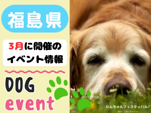 犬イベント　東北地方　青森県　岩手県　秋田県　宮城県　山形県　福島県　2026年　3月