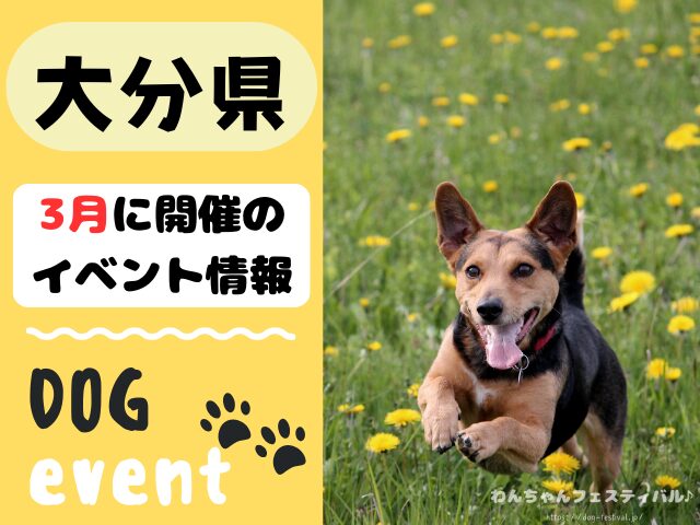 犬イベント　九州　福岡県　佐賀県　長崎県　熊本県　大分県　宮崎県　鹿児島県　2026年　3月
