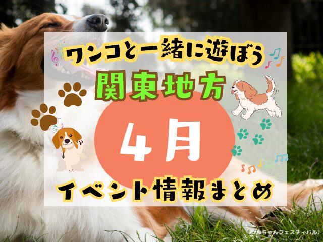 犬イベント　関東地区　東京都　千葉県　神奈川県　埼玉県　群馬県　栃木県　茨城県　2026年　4月