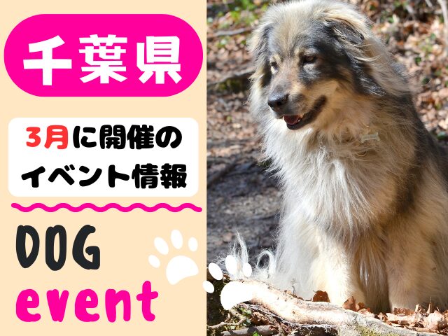 犬イベント　関東地区　東京都　千葉県　神奈川県　埼玉県　群馬県　栃木県　茨城県　2026年　3月