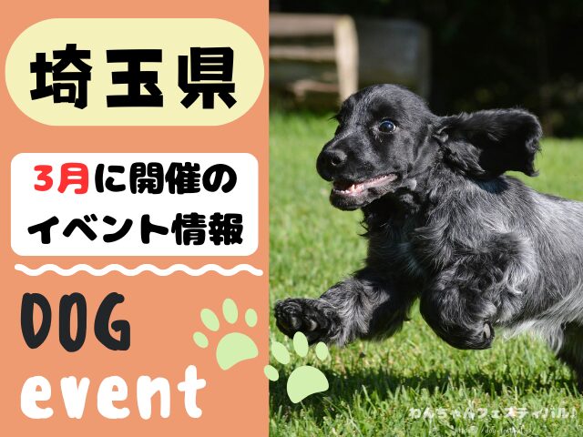 犬イベント　関東地区　東京都　千葉県　神奈川県　埼玉県　群馬県　栃木県　茨城県　2026年　3月