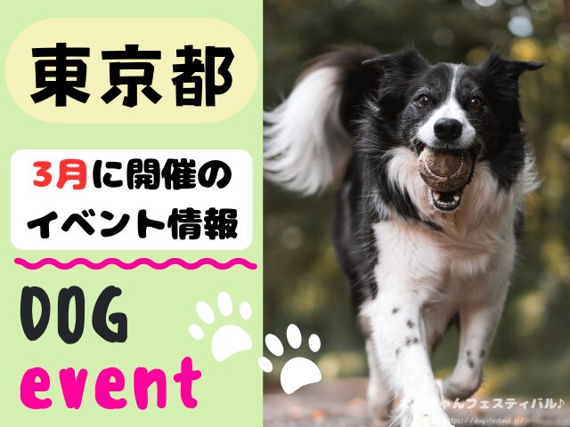 犬イベント　関東地区　東京都　千葉県　神奈川県　埼玉県　群馬県　栃木県　茨城県　2026年　3月