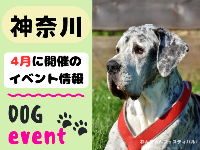 犬イベント　関東地区　東京都　千葉県　神奈川県　埼玉県　群馬県　栃木県　茨城県　2026年　4月