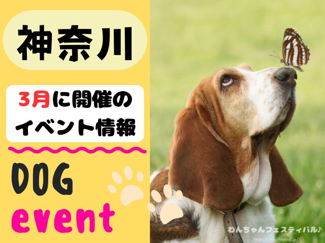 犬イベント　関東地区　東京都　千葉県　神奈川県　埼玉県　群馬県　栃木県　茨城県　2026年　3月