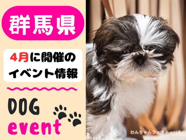 犬イベント　関東地区　東京都　千葉県　神奈川県　埼玉県　群馬県　栃木県　茨城県　2026年　4月