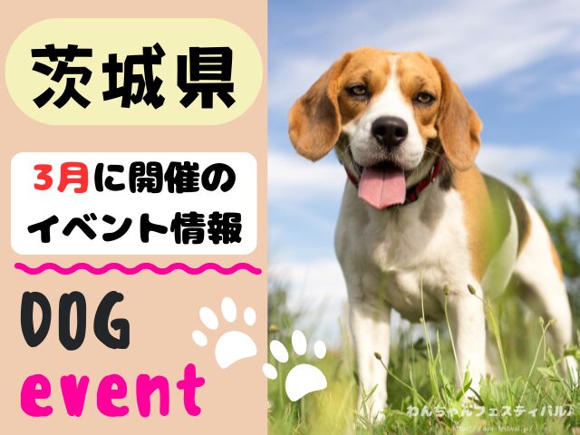 犬イベント　関東地区　東京都　千葉県　神奈川県　埼玉県　群馬県　栃木県　茨城県　2026年　3月