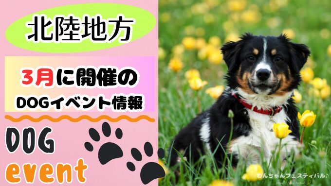 【2026年3月】北陸の犬イベント一覧！開催場所と日程を知って楽しもう！