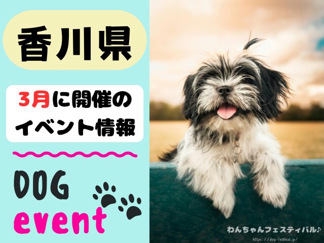 香川　犬イベント　3月