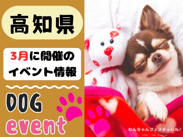 高知　犬イベント　3月