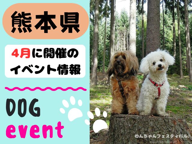 犬イベント　九州　福岡県　佐賀県　長崎県　熊本県　大分県　宮崎県　鹿児島県　2026年　4月