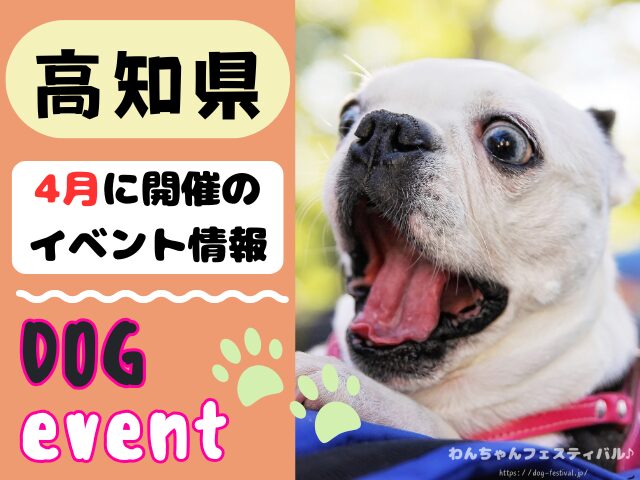 高知 犬イベント 4月