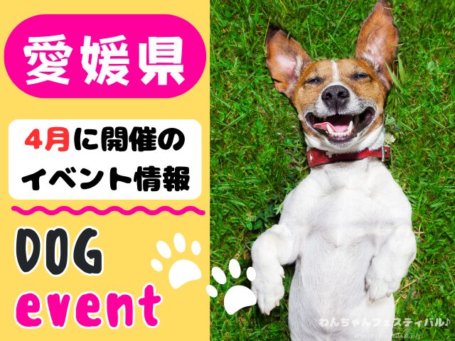 愛媛 犬イベント 4月