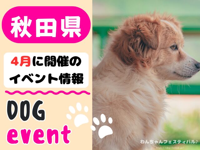 犬イベント 東北地方 青森県 岩手県 秋田県 宮城県 山形県 福島県 2026年 4月