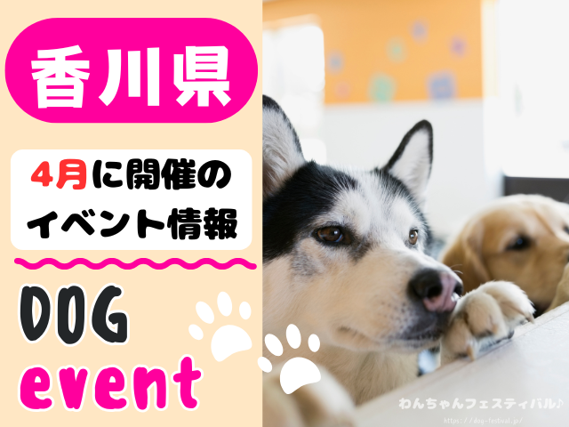 香川 犬イベント 4月