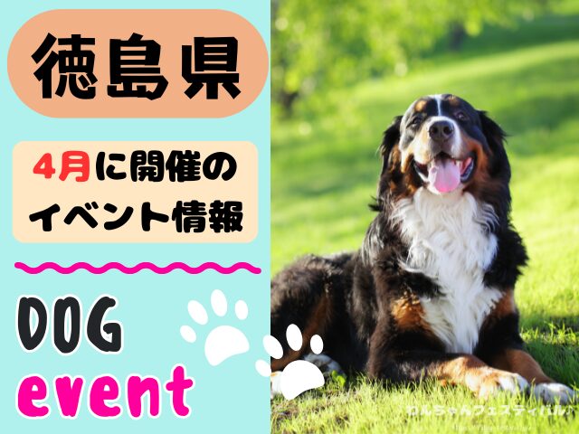 徳島 犬イベント 4月