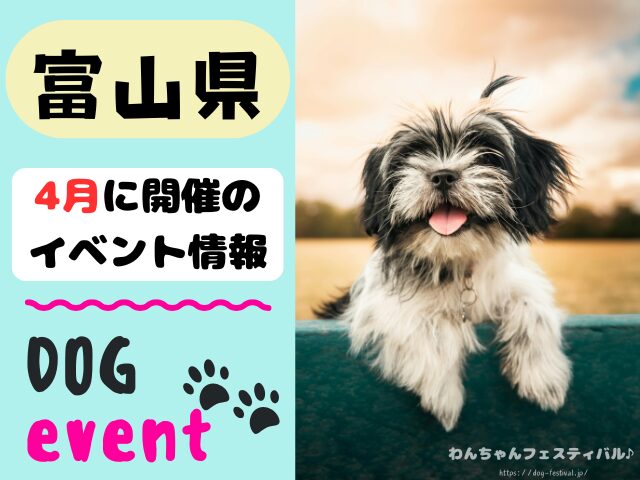 犬イベント 北陸地方 新潟県 富山県 石川県 福井県 2026年 4月