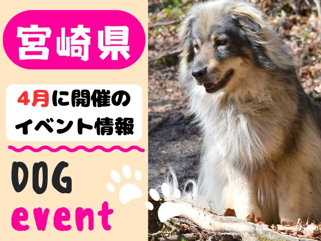 犬イベント　九州　福岡県　佐賀県　長崎県　熊本県　大分県　宮崎県　鹿児島県　2026年　4月