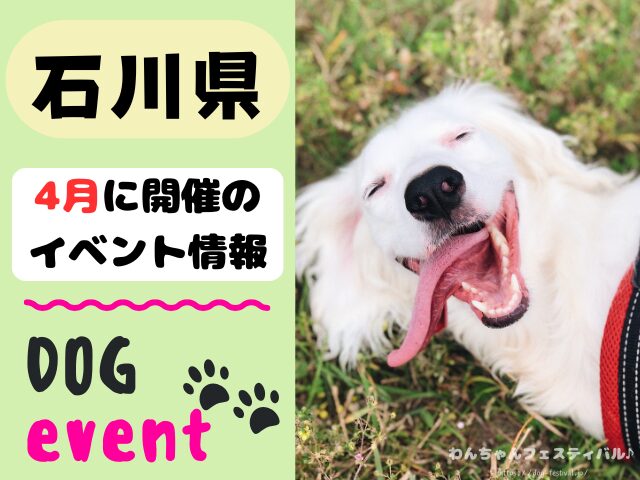 犬イベント 北陸地方 新潟県 富山県 石川県 福井県 2026年 4月