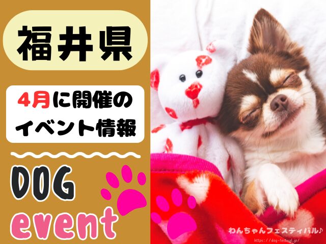 犬イベント 北陸地方 新潟県 富山県 石川県 福井県 2026年 4月