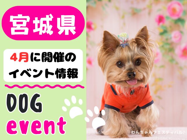 犬イベント 東北地方 青森県 岩手県 秋田県 宮城県 山形県 福島県 2026年 4月
